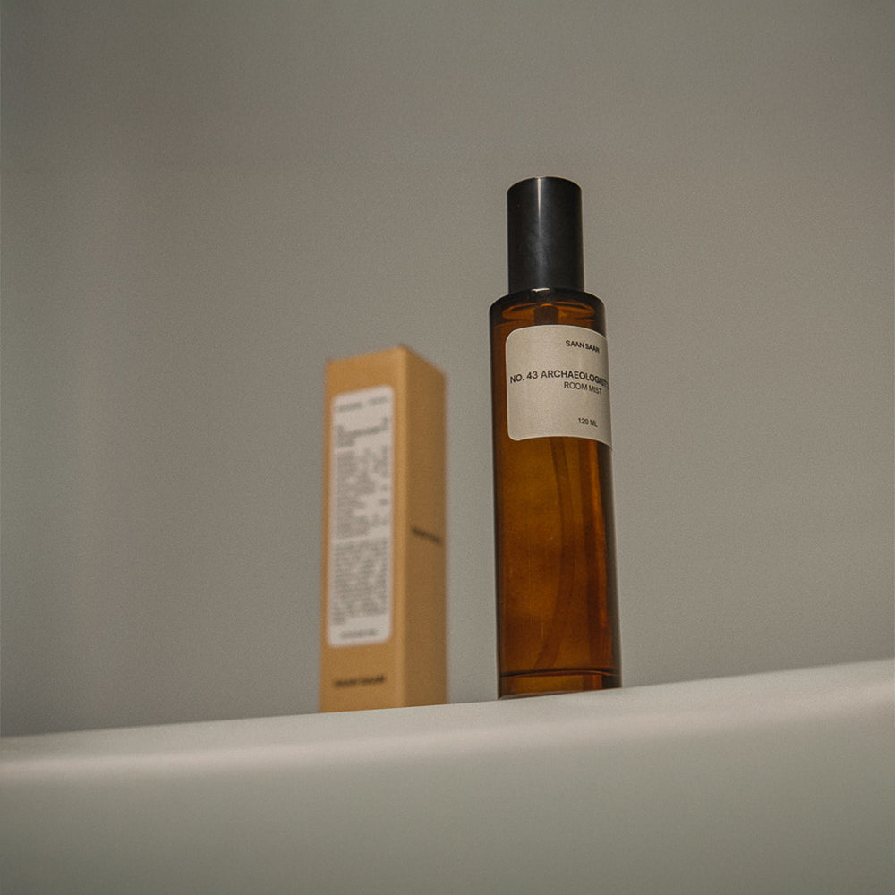 No. 43 The Archaeologist's House Room Mist