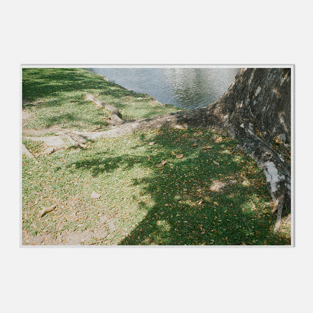 Sa Lilim Postcard